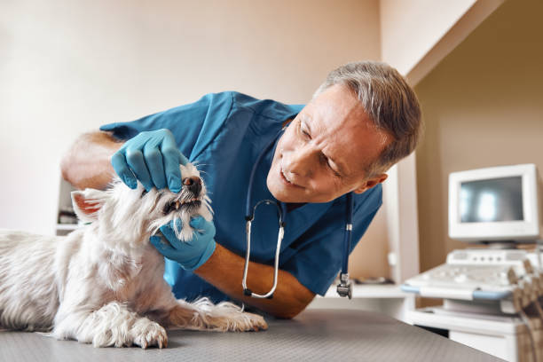 Best Emergency Root Canal Treatment in Carrollton, GA